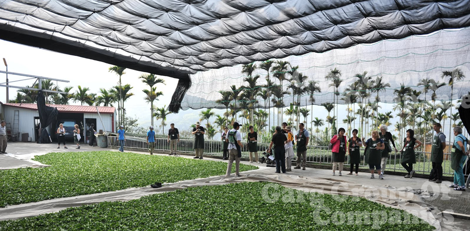 Garg Group Of Company